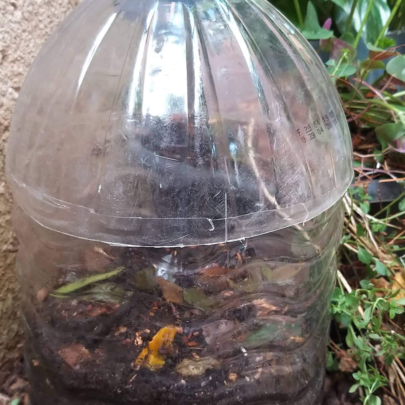 Reaproveitando e Reciclando com Criatividade - inspiração 2