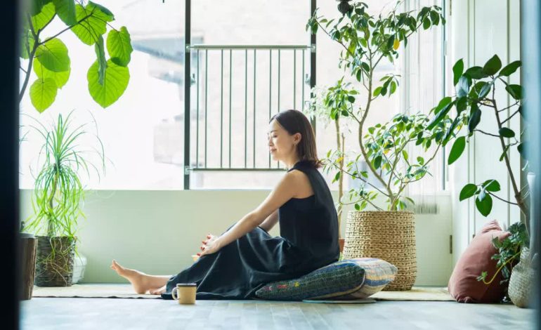 Organização Inteligente: Destralhando Seu Espaço para uma Mente Livre - inspiração 2