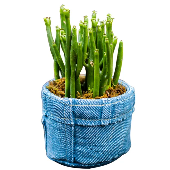 Personalização Extrema: Deixe Sua Mão de Cimento com a Sua Cara - inspiração 2