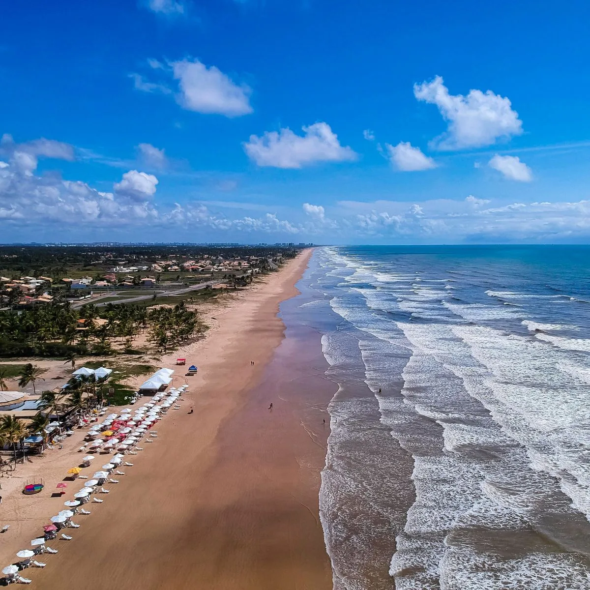 A Gastronomia Sergipana: Uma Exploração Deliciosa Para Seu Paladar - inspiração 2