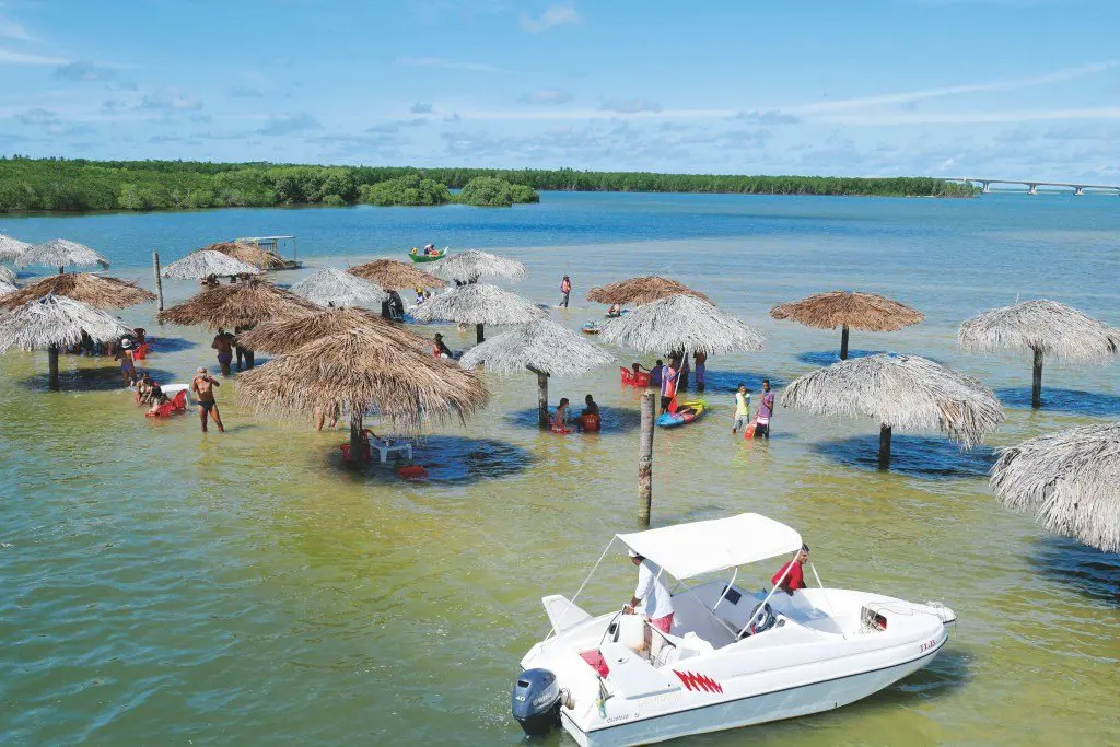 Passarela do Caranguejo: A Noite Ganha Vida Com Sabores Inesquecíveis - inspiração 1