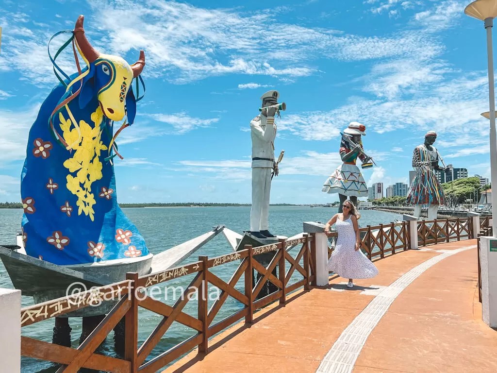 Projeto Tamar: Conhecendo e Protegendo Nossas Tartarugas Marinhas - inspiração 1