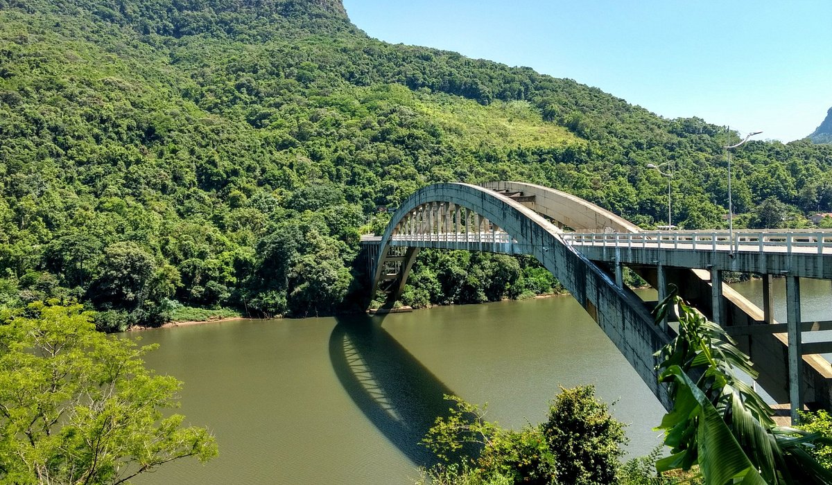 A Rota do Vinho: Uma Imersão nos Sabores e Tradições - inspiração 1