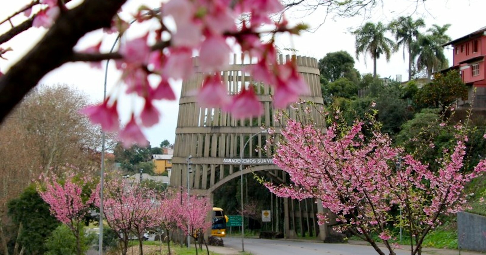 O Charme da Via Del Vino: Gastronomia e Compras em Cada Esquina - inspiração 2