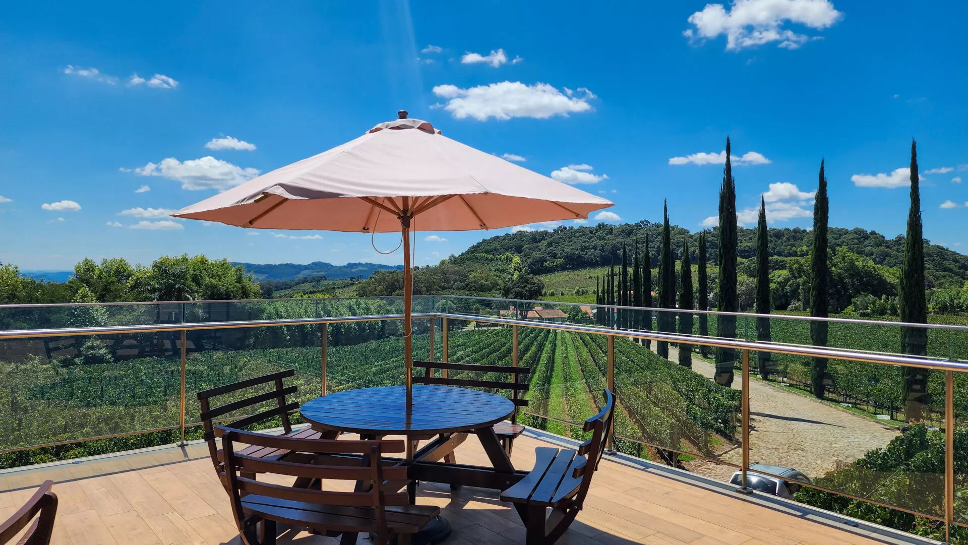 Museu do Vinho: A História que Moldou a Região - inspiração 2