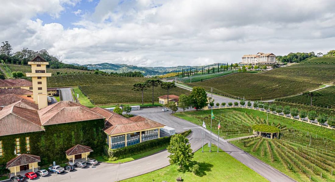 Enoturismo: Degustações e Experiências Únicas nas Vinícolas - inspiração 2