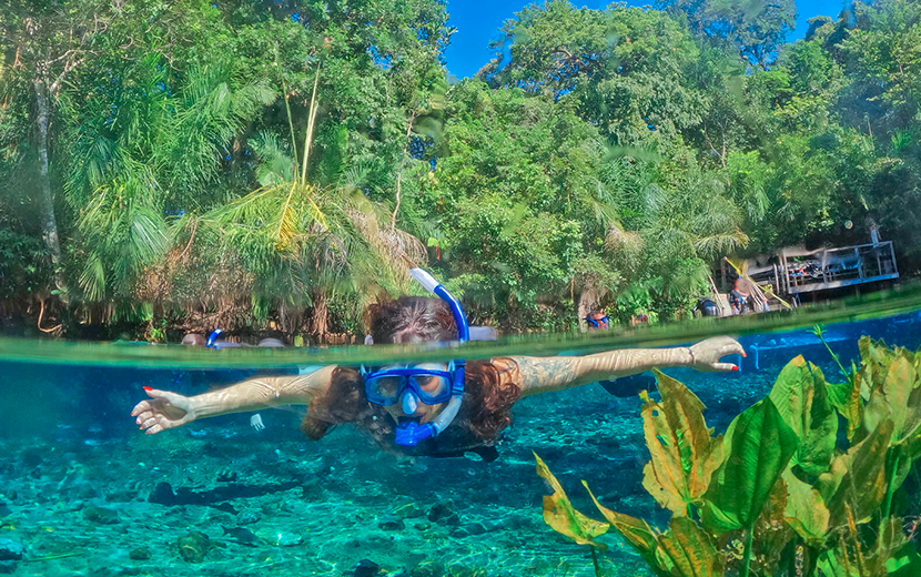 Explorando as Grutas e Cavernas: Um Mergulho na História Natural - inspiração 1