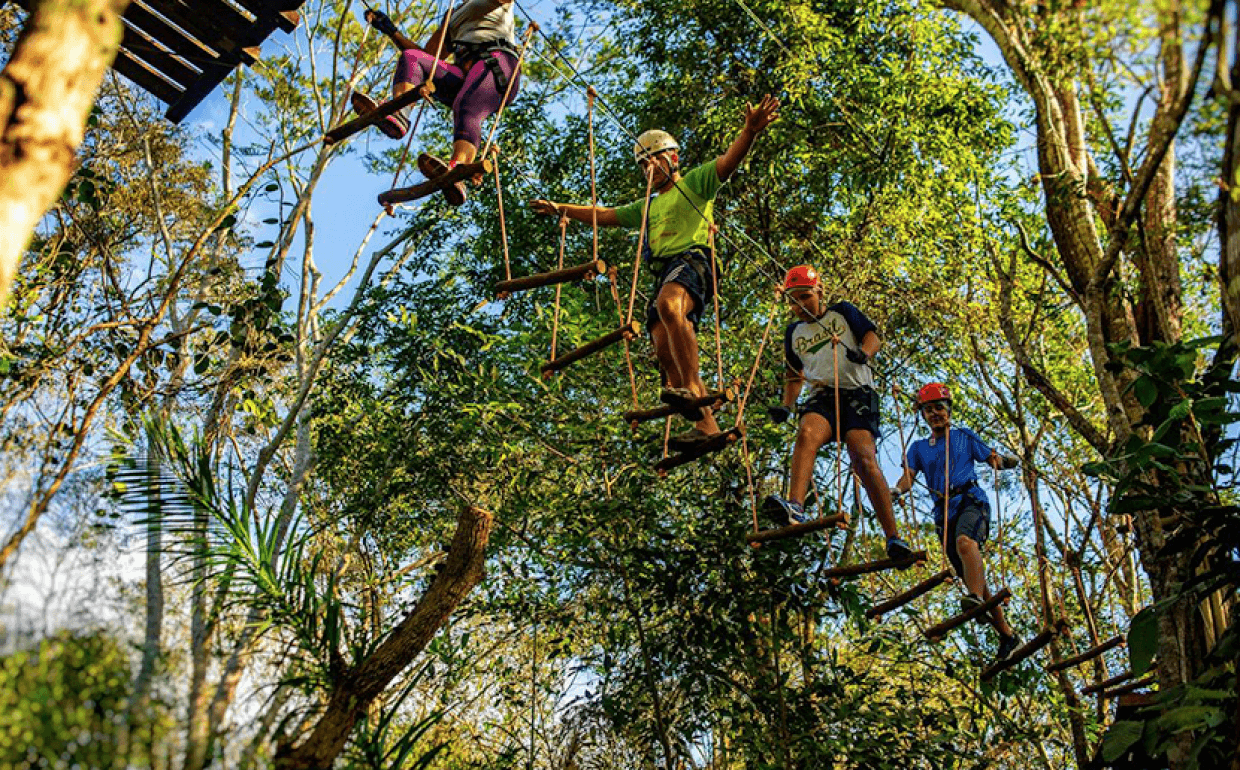 Observação da Fauna e Flora: Um Contato Íntimo com a Natureza - inspiração 2