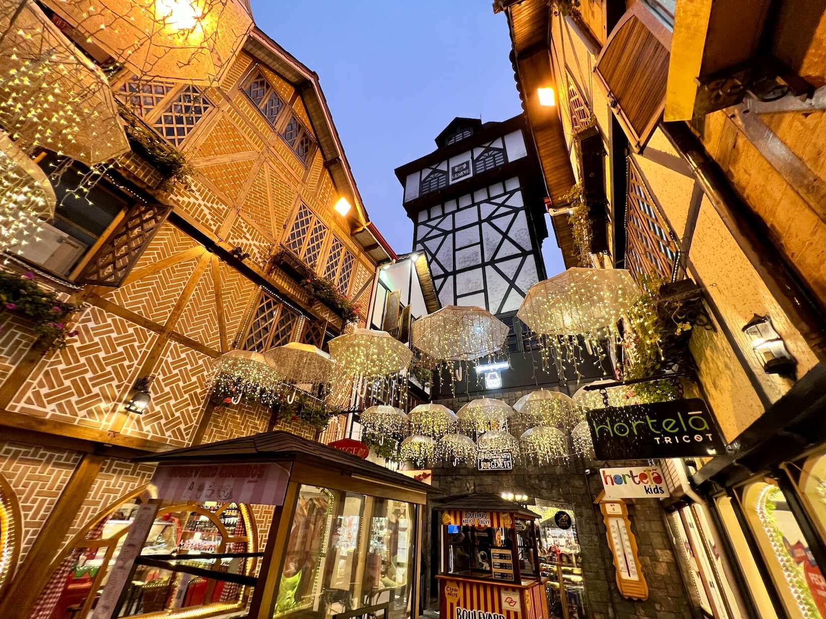 Passeios Românticos em Parques e Jardins Encantados - inspiração 2