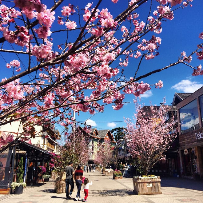 Imersão Cultural: Museus e Arquitetura que Contam Histórias - inspiração 2