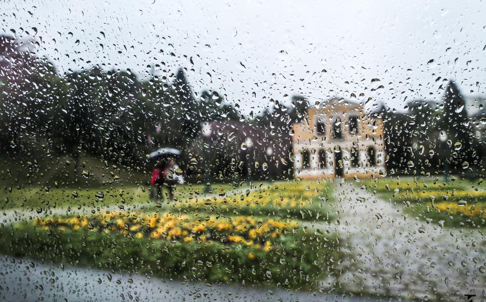 Saboreie a Gastronomia Curitibana em Restaurantes Aconchegantes - inspiração 1
