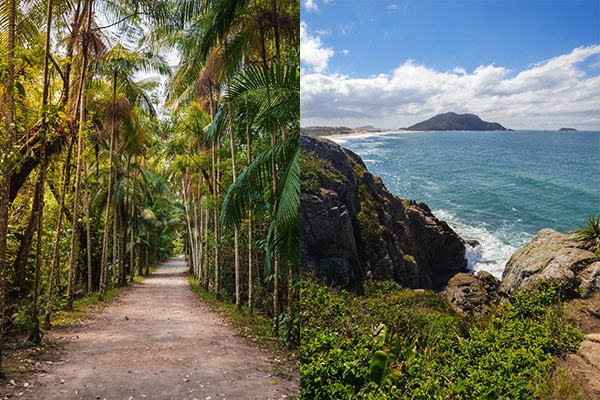 Cultura e História: Mergulhe nas Tradições Manés - inspiração 1