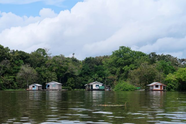 Aventura na Selva: Trilhas e Experiências de Ecoturismo - inspiração 2