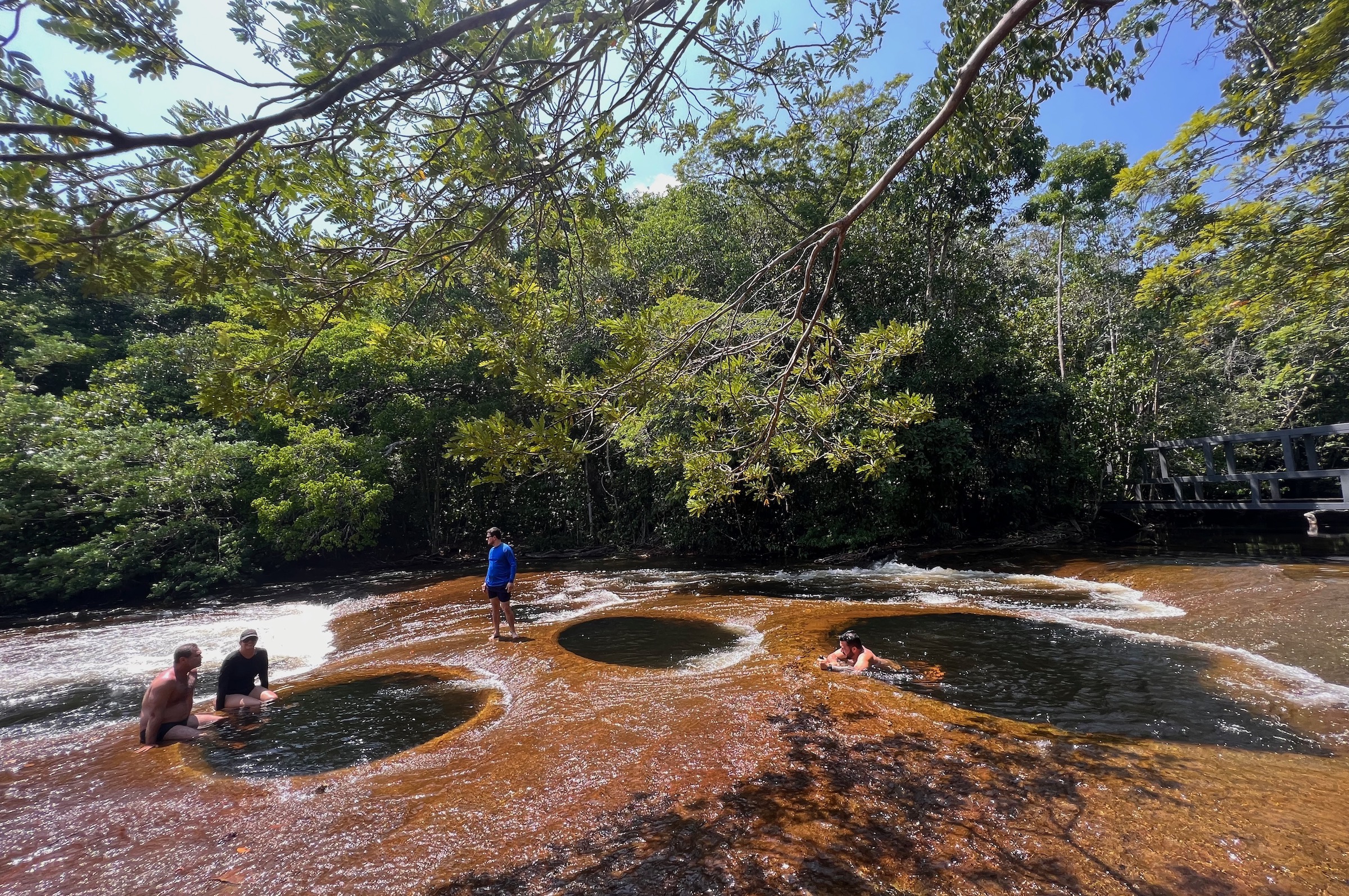 Mercado Adolpho Lisboa: Sabores e Cores da Terra - inspiração 2