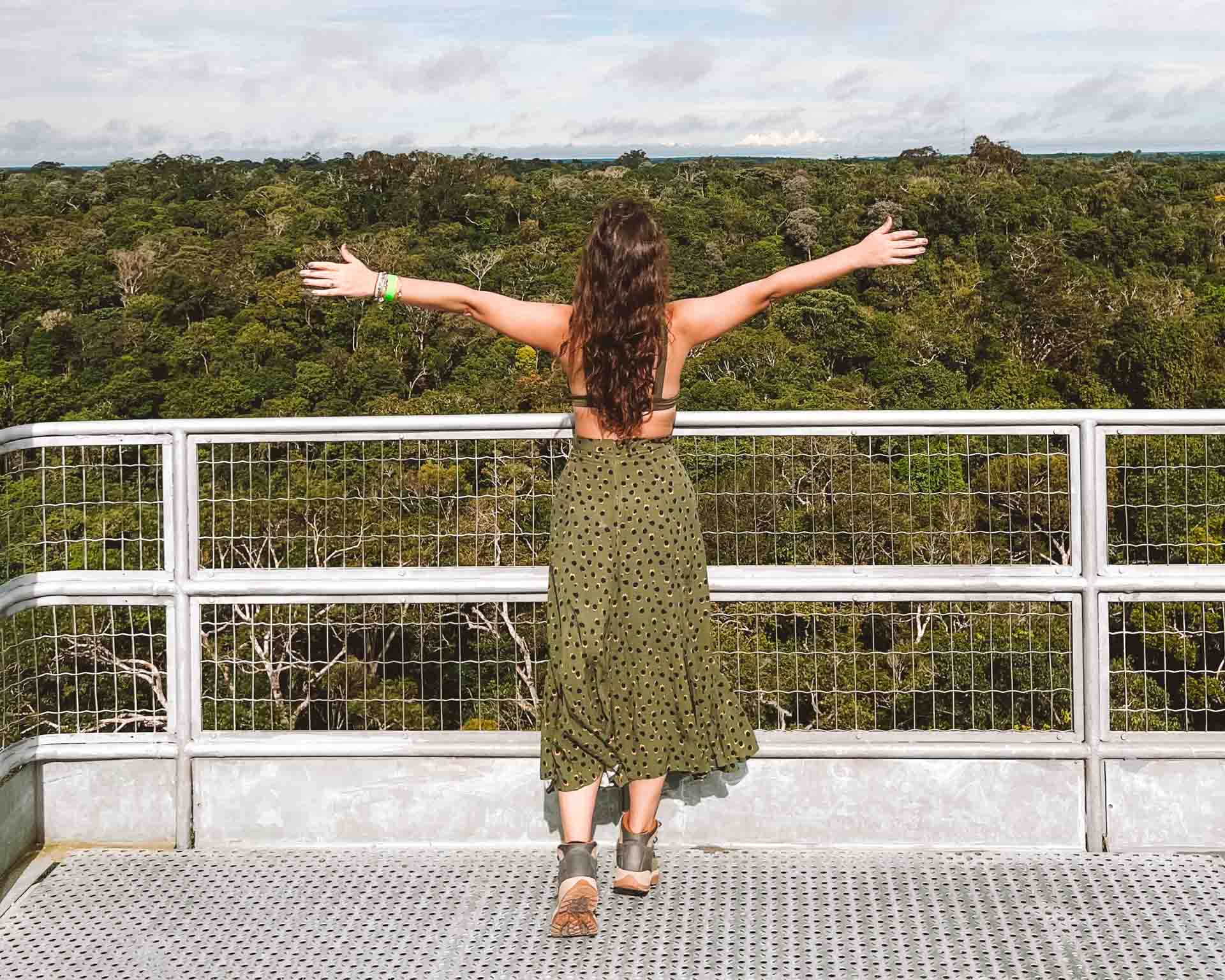 Passeio de Barco pelo Rio Negro: Mergulho na Natureza Exuberante - inspiração 2