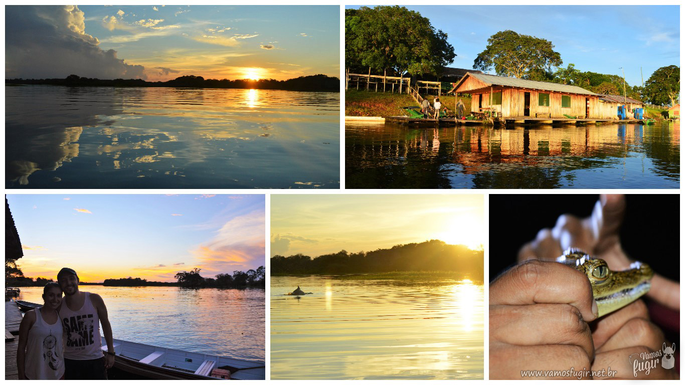 Compras de Artesanato Local: Leve um Pedacinho da Amazônia com Você - inspiração 1