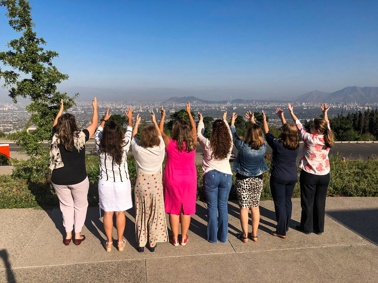 Vinho Chileno: Degustações que Vão Fazer Você Brindar à Amizade - inspiração 1