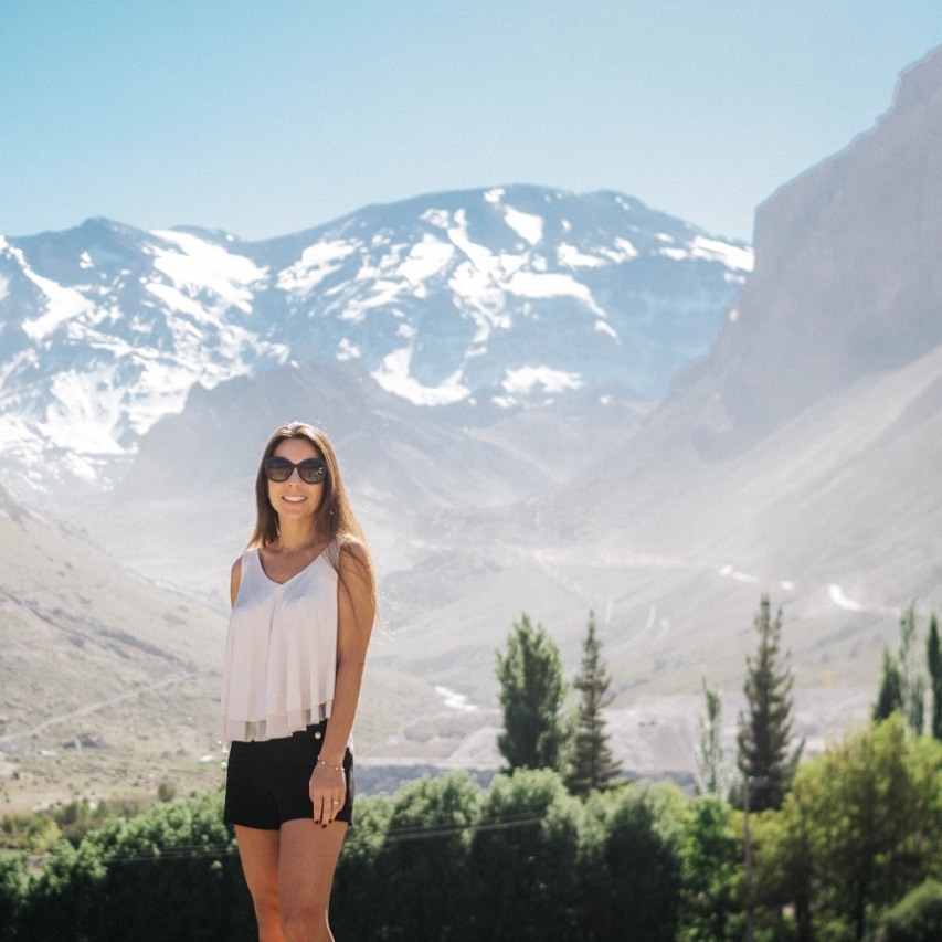 Vinho Chileno: Degustações que Vão Fazer Você Brindar à Amizade - inspiração 2