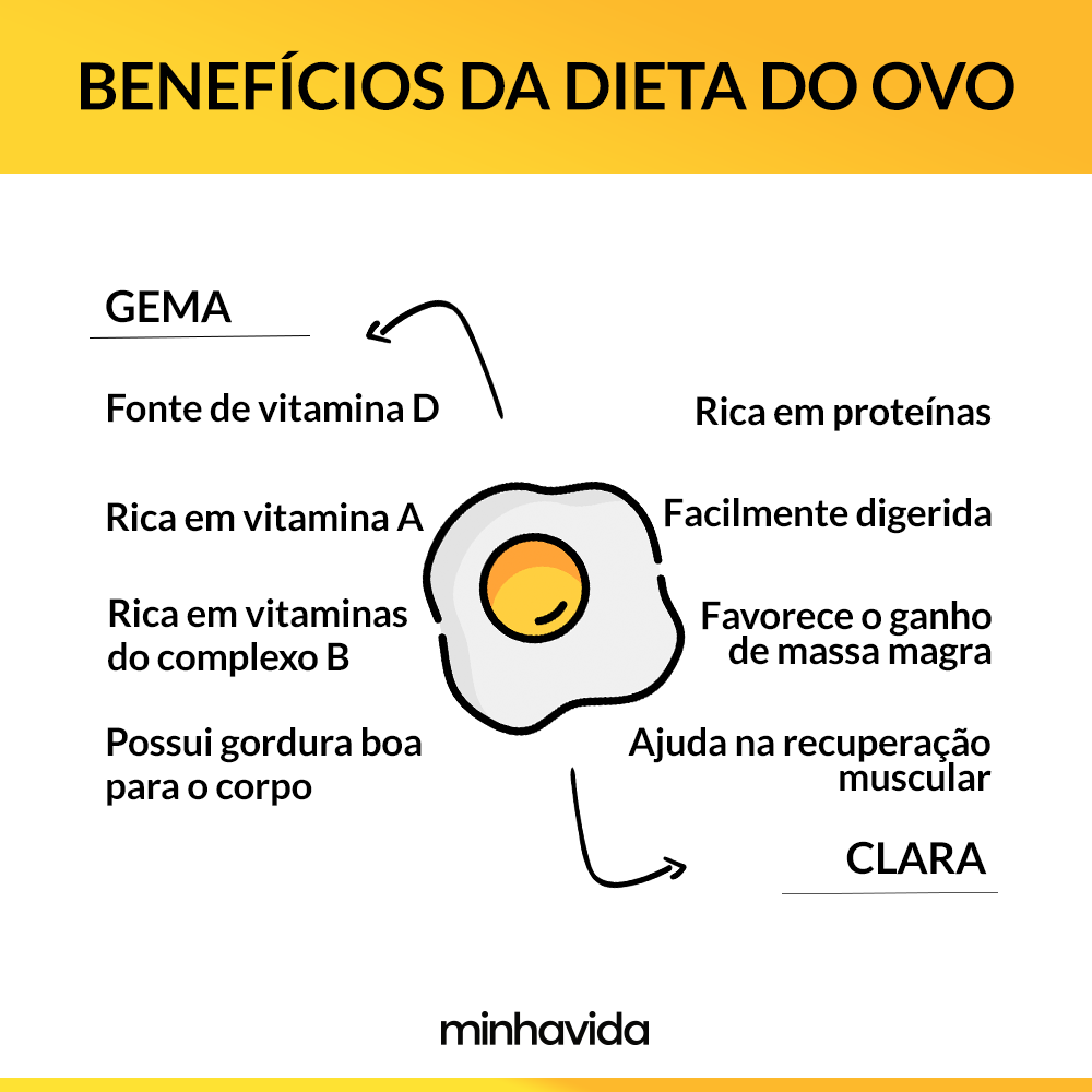 A Importância do Ovo Para Gestantes e Lactantes - inspiração 1