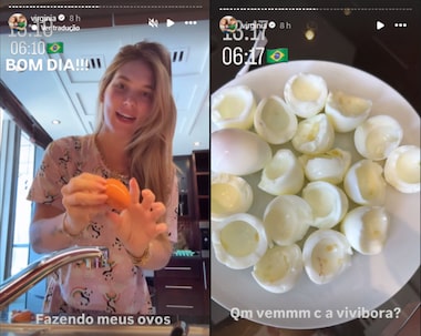 Mitos e Verdades Sobre o Colesterol e o Consumo de Ovos - inspiração 2