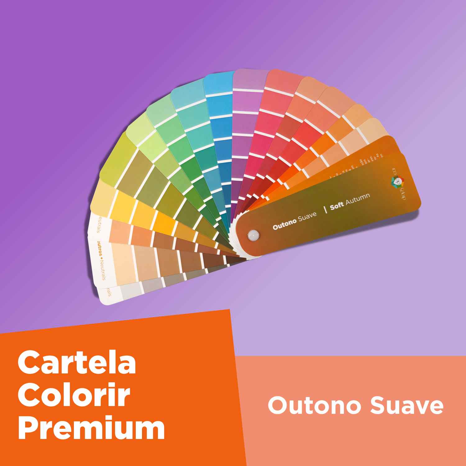 Evitando Armadilhas Comuns na Escolha das Cores de Outono Suave - inspiração 2