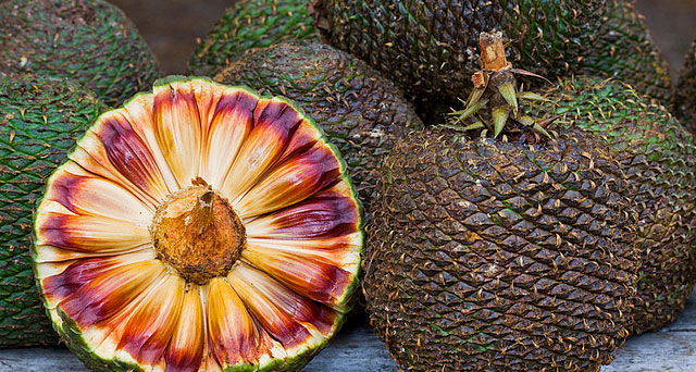 Segurança em primeiro lugar: como manusear pinhões crus - inspiração 1