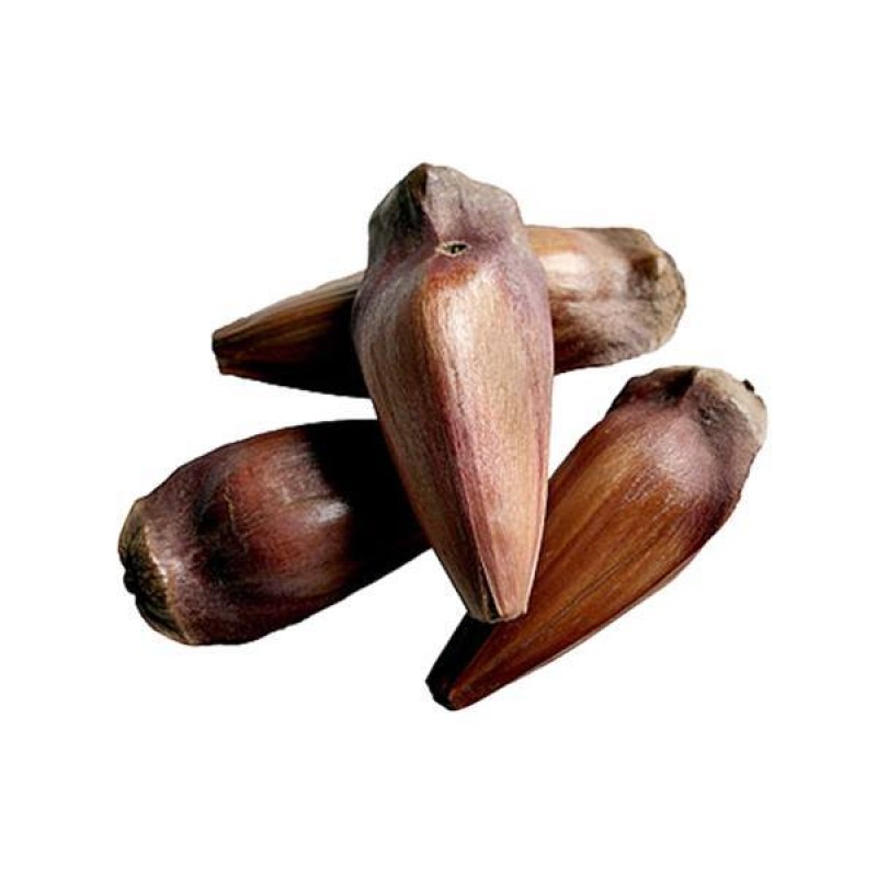 Pinhão e suas combinações perfeitas: temperos e ingredientes - inspiração 1