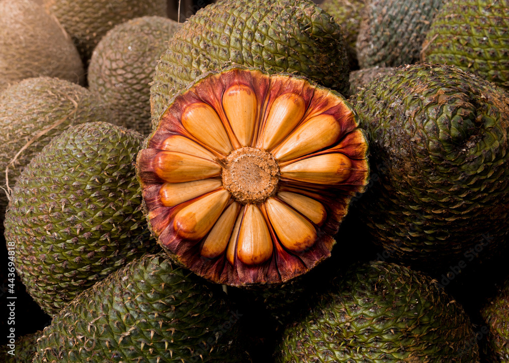 Nutrição em cada garfada: os benefícios do pinhão para sua saúde - inspiração 1