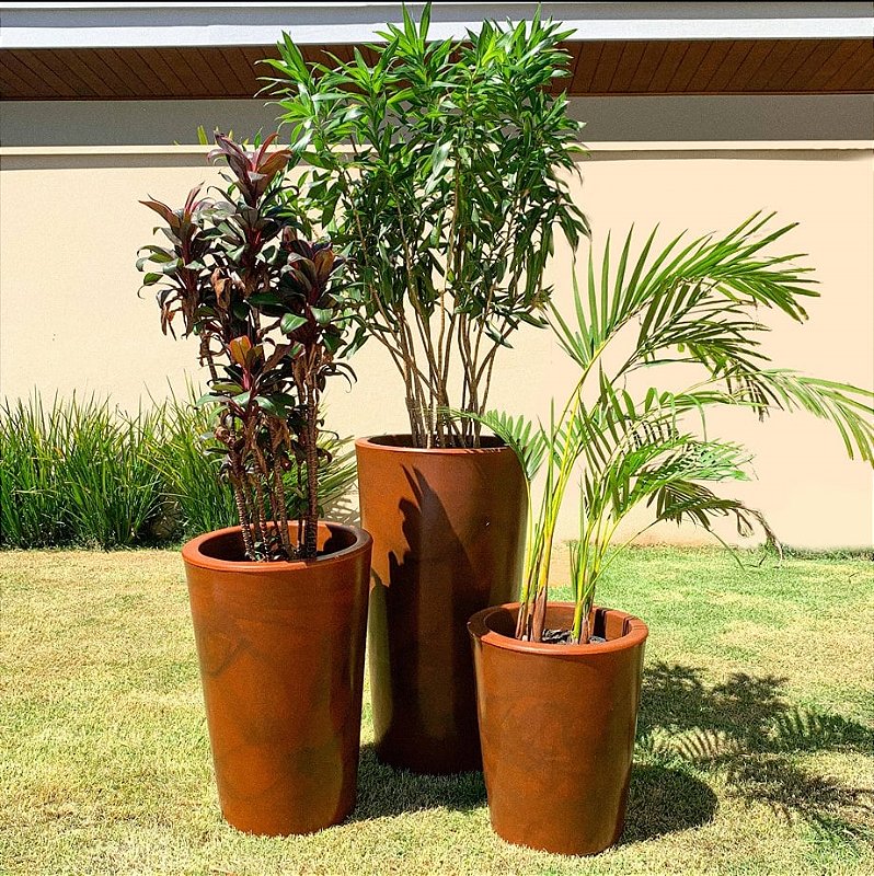 Plantas de Sombra: Opções Perfeitas Para Cantinhos Menos Iluminados - inspiração 1
