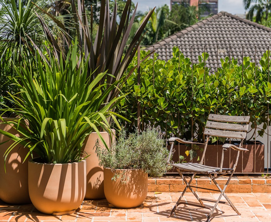 Samambaias e Ráfis: O Toque Tropical Para Ambientes Mais Úmidos - inspiração 2