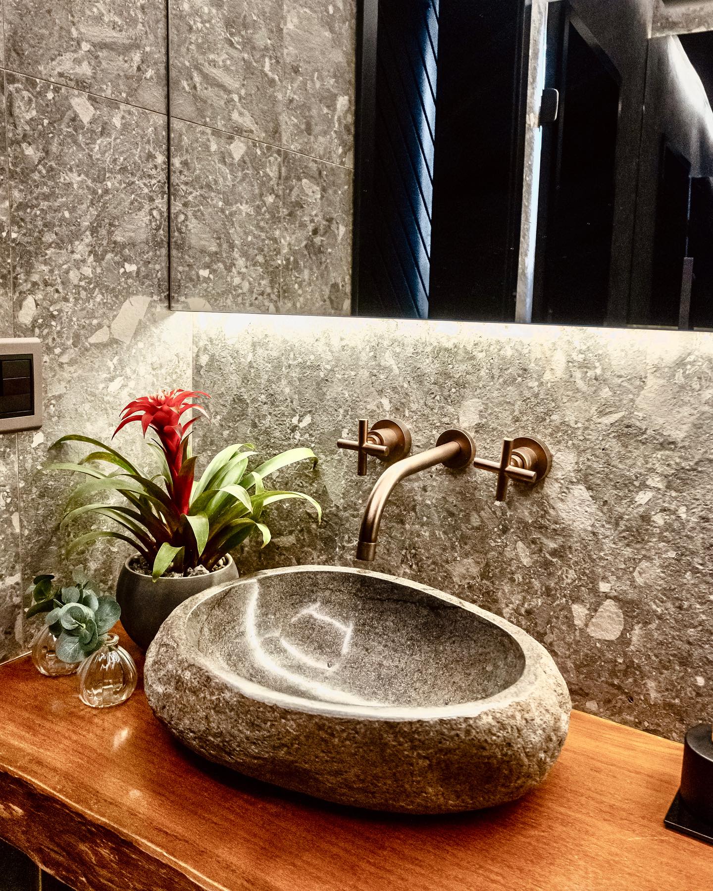 Singônio: Variedade de Folhagens Para Colorir - inspiração 1