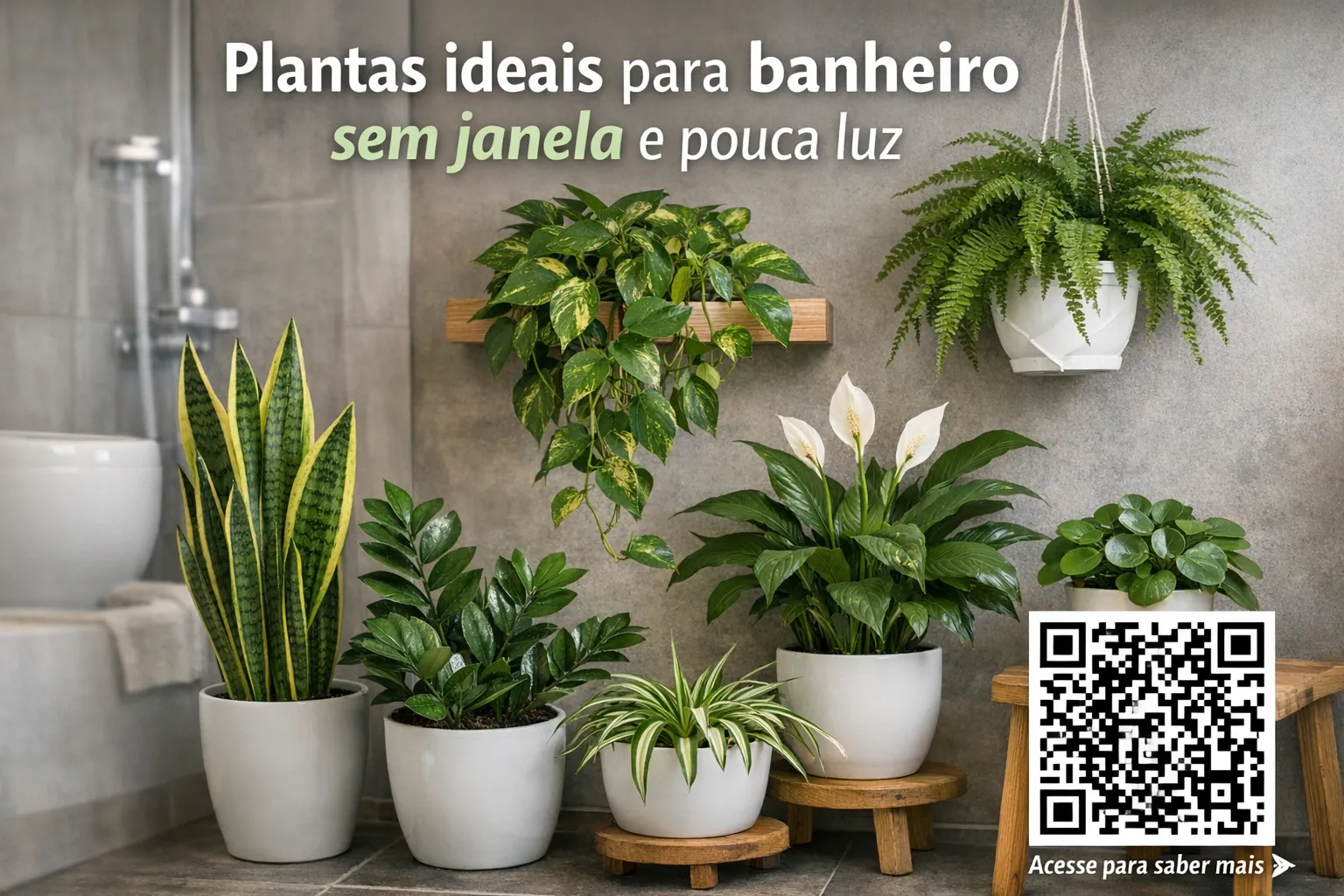 Begônia Rex: Detalhes e Cores Que Encantam - inspiração 1