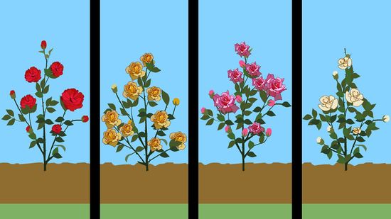 Técnicas de Poda que Estimulam o Crescimento Saudável - inspiração 2
