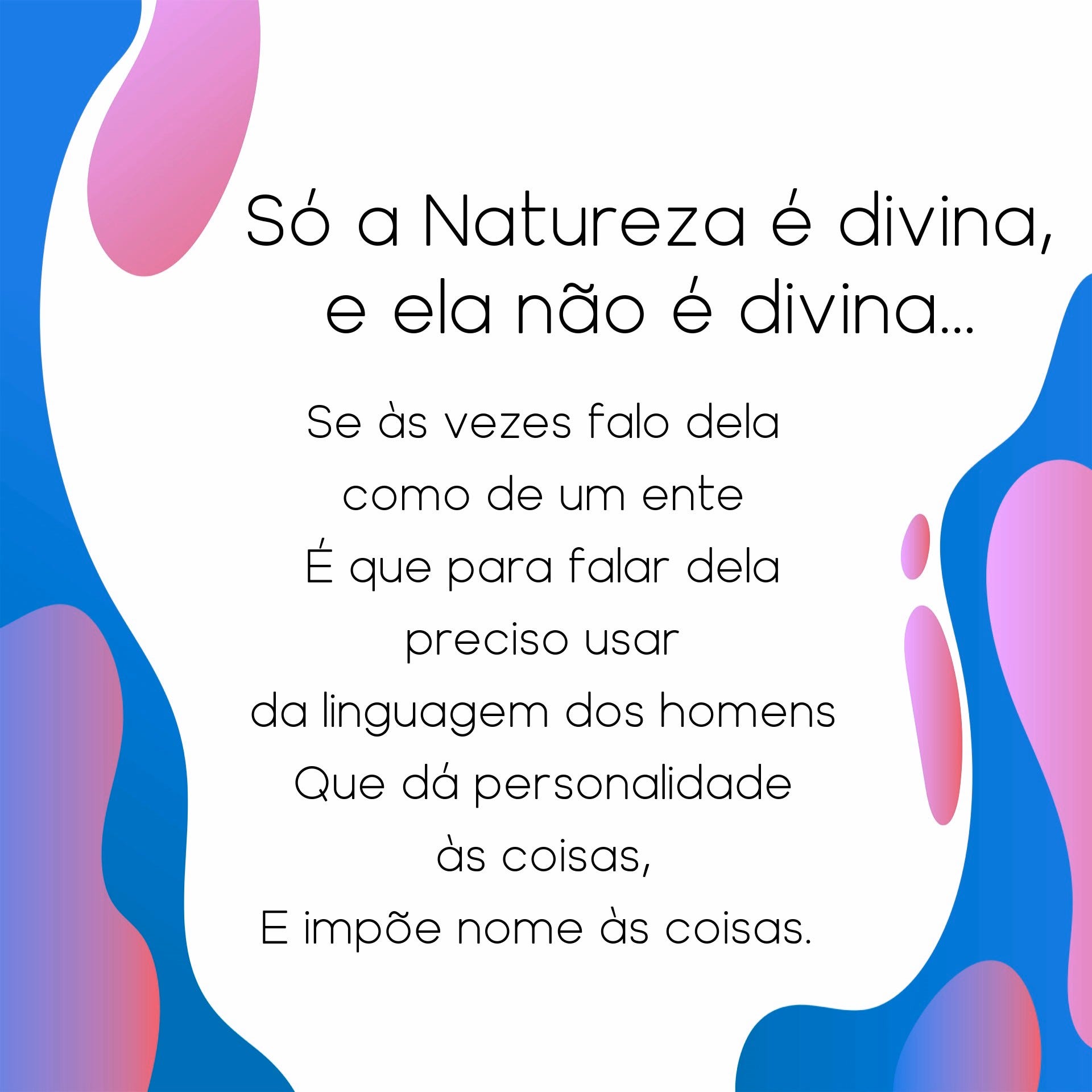 As Flores Que Desabrocham a Esperança - inspiração 2