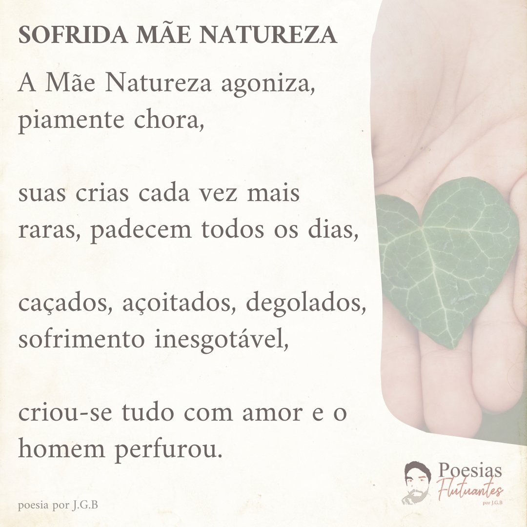 O Canto dos Pássaros em Harmonia - inspiração 2