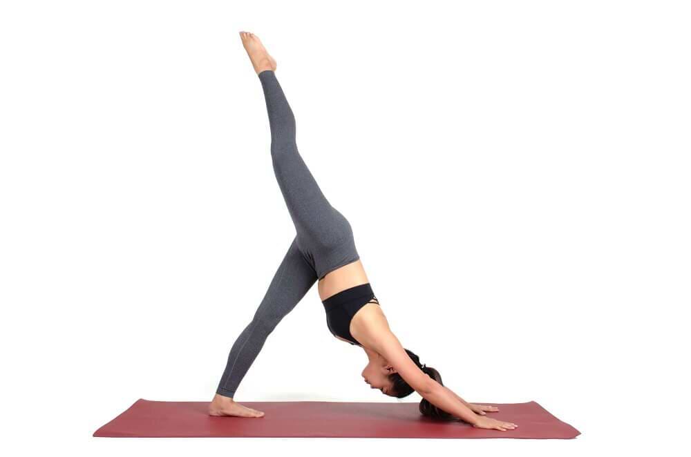 O Olhar Pedinte: Quando a Fofura Vira Estratégia - inspiração 2