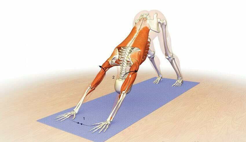 Como Interpretar o Contexto: Onde e Quando Ele Faz Isso? - inspiração 1