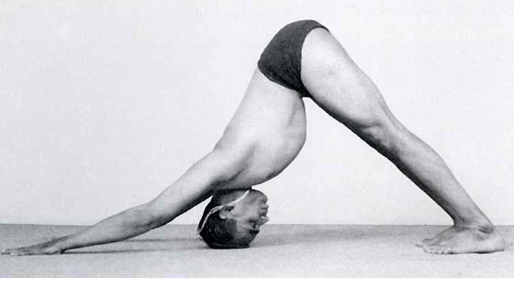 O Que o Olhar Baixo Pode Dizer Sobre a Saúde Dele? - inspiração 1