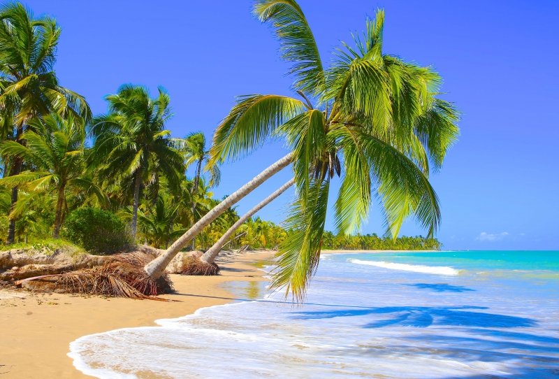 Porto de Galinhas: Belezas Naturais com Tranquilidade Garantida - inspiração 2