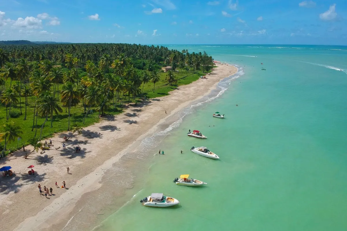Praia da Pipa: A Energia da Natureza com Segurança - inspiração 1