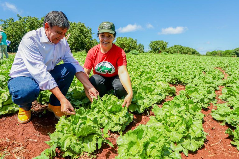 Aproveitando ao Máximo os Alimentos da Estação - inspiração 2