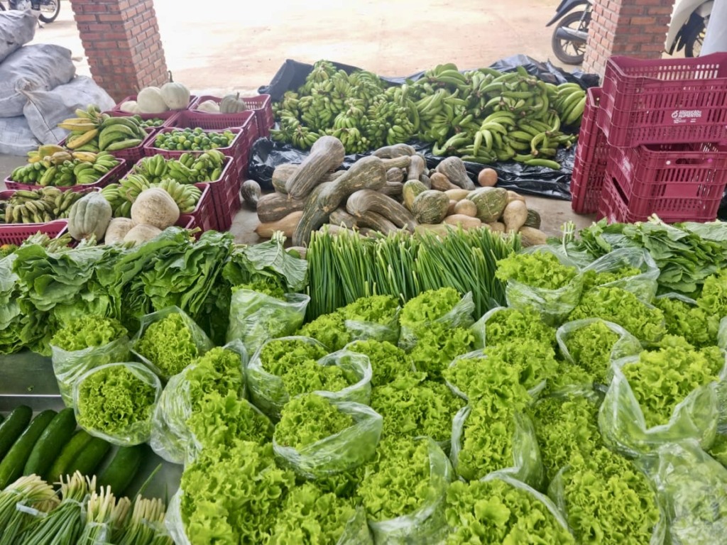 Conservando Seus Alimentos Frescos - inspiração 1