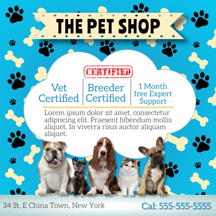 Bastidores do Pet Shop: Humanizando a Marca - inspiração 1