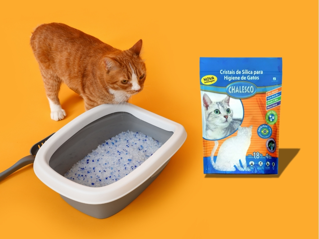 O que é a sílica e como funciona? - inspiração 1