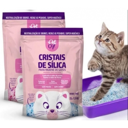 Dicas extras para manter a caixa de areia impecável. - inspiração 2