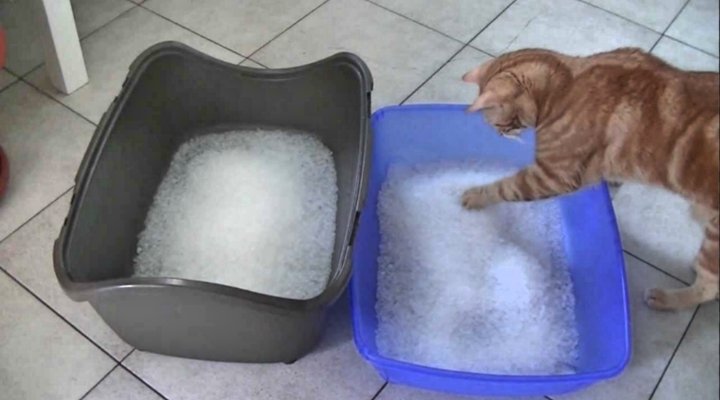 Benefícios da sílica para a higiene do gato. - inspiração 2