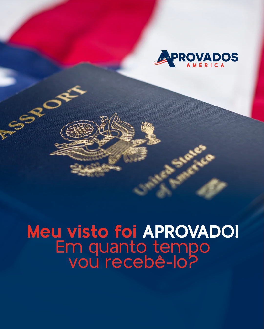 Seu Perfil: Histórico e Documentação - inspiração 2