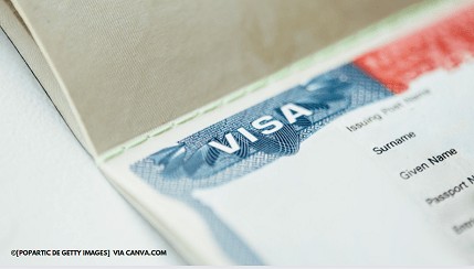 Urgência Solicitada: Opções Expressas (Quando Disponíveis) - inspiração 2