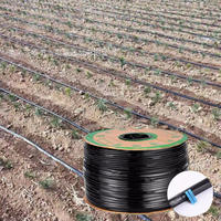 Espaçamento entre as plantas: o guia fundamental para calcular - inspiração 1