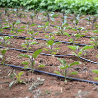 Simulando o cálculo: um exemplo prático para você - inspiração 1